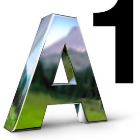 A1